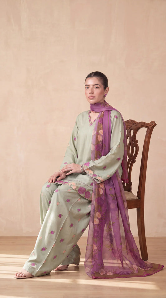 Coco - 3 Piece Stitched Dress