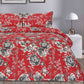 EMRALD BEDSHEET SET - 3 PCS (PREMIUM)