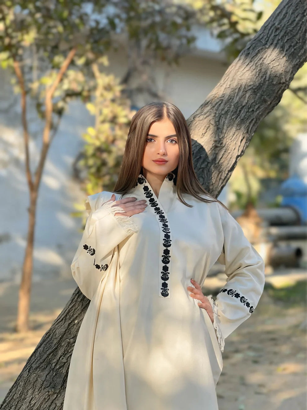 Aive - 3 Piece Stitched Dress